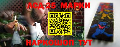 бошки Гатчина