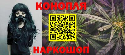 бошки Гатчина