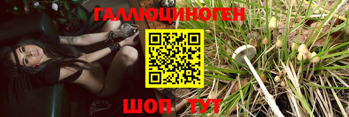 Псилоцибиновые грибы Magic Shrooms Истра